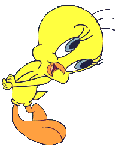 Gifs animés Titi